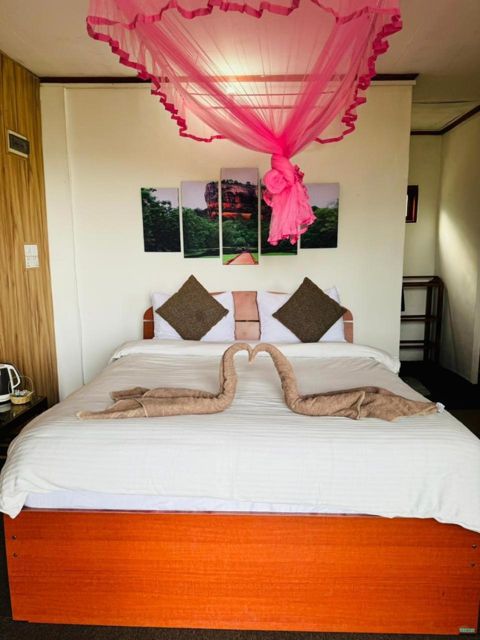 Will Guest Homestay Ella Ngoại thất bức ảnh