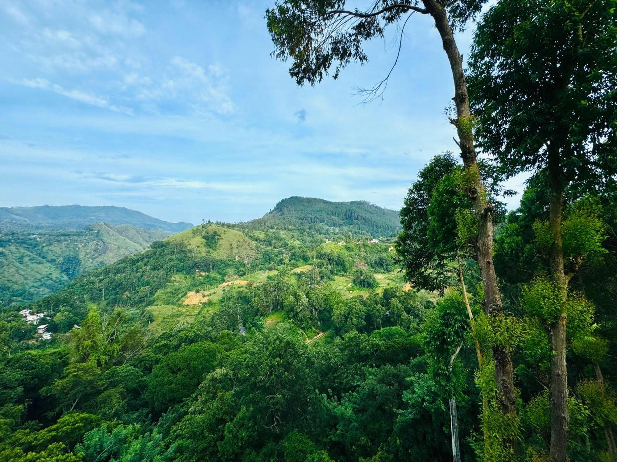 Will Guest Homestay Ella Ngoại thất bức ảnh