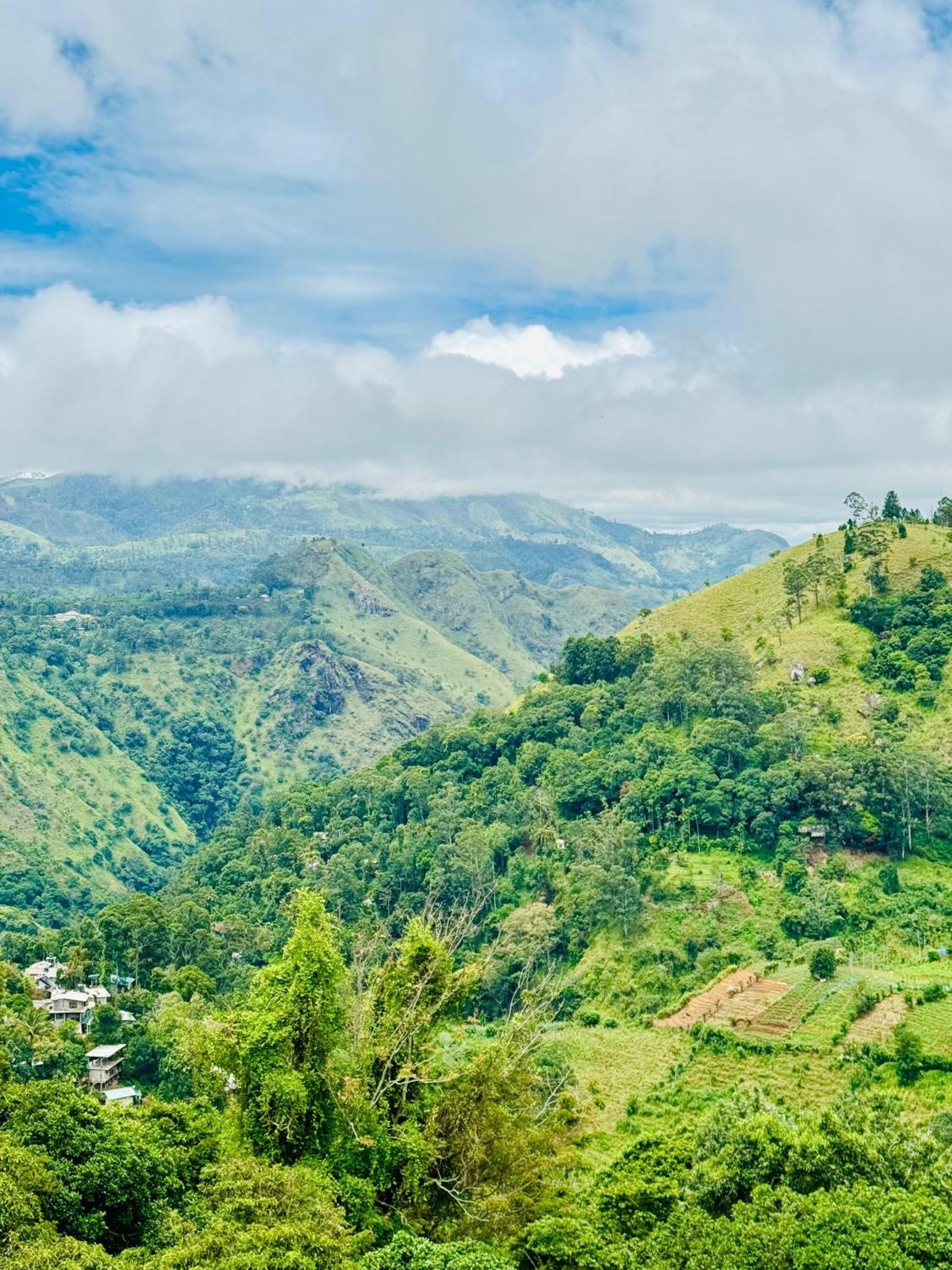 Will Guest Homestay Ella Ngoại thất bức ảnh
