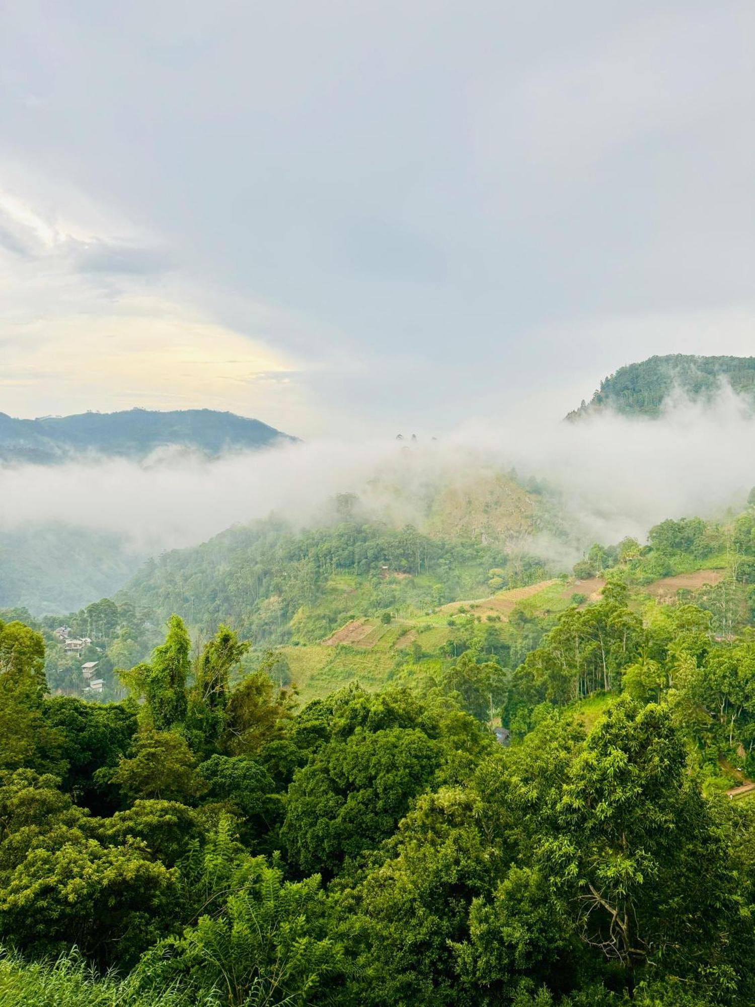 Will Guest Homestay Ella Ngoại thất bức ảnh
