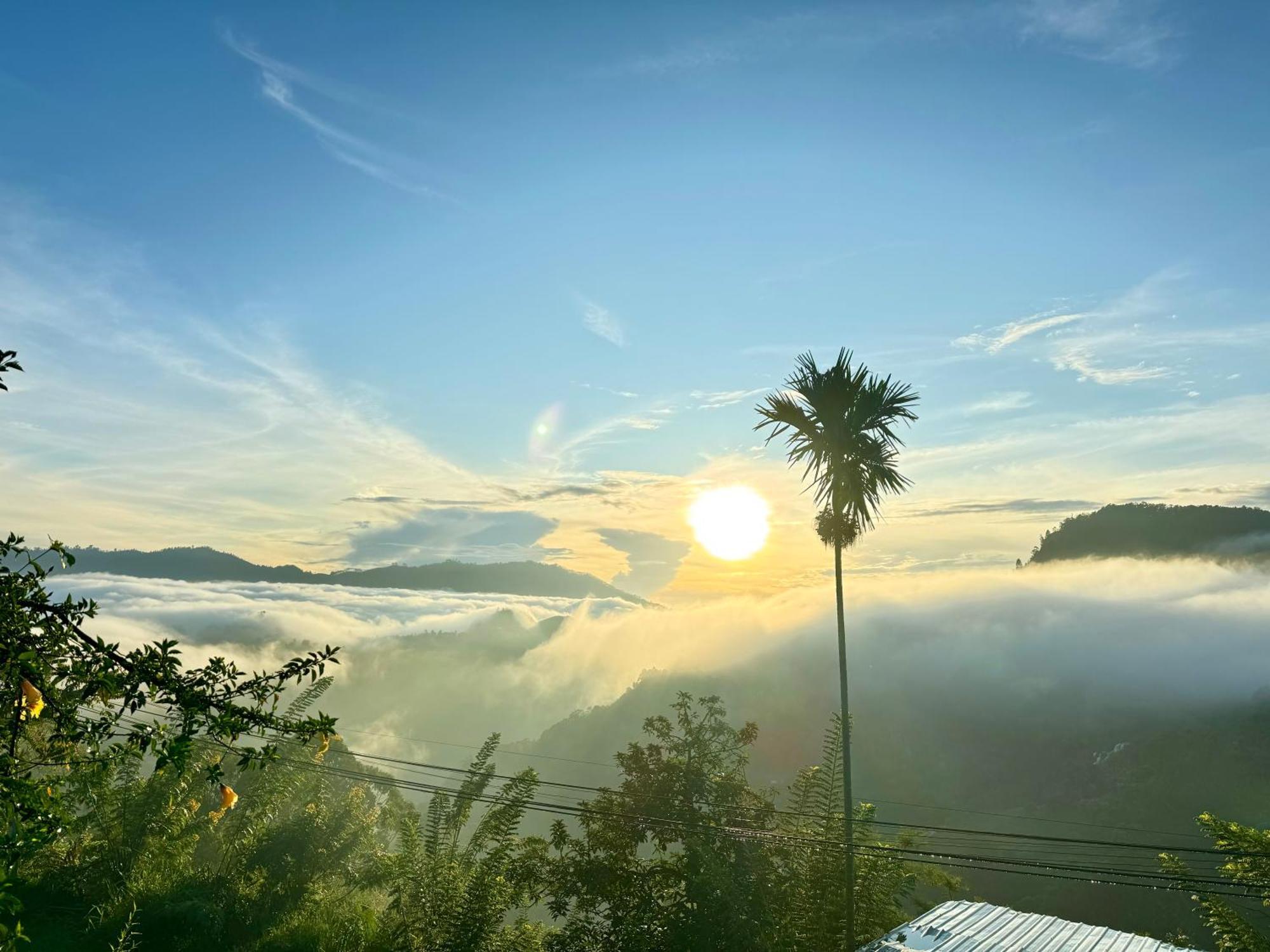 Will Guest Homestay Ella Ngoại thất bức ảnh