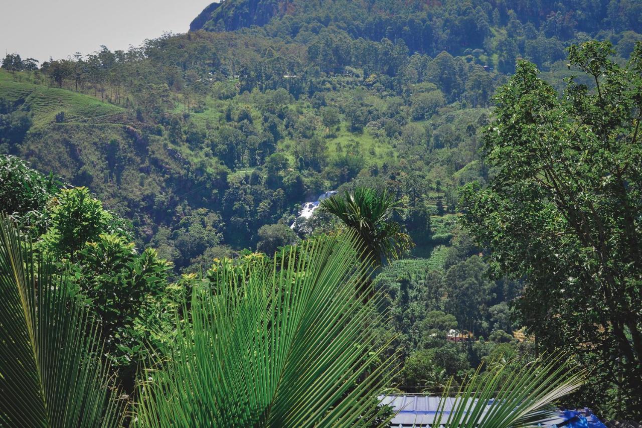 Will Guest Homestay Ella Ngoại thất bức ảnh
